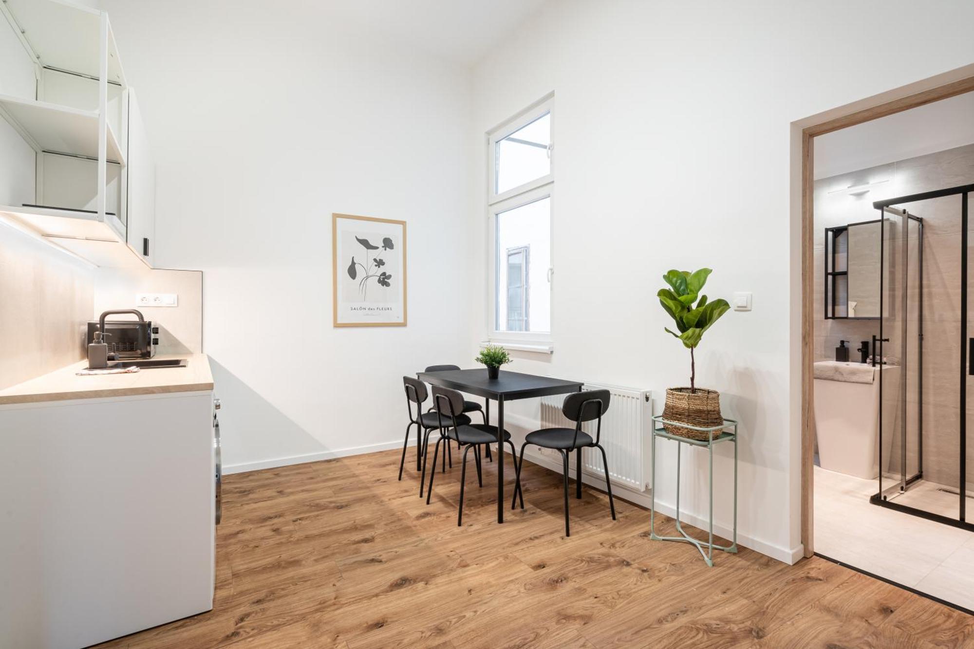 Visegradi 10 Apartment